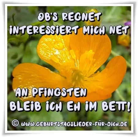 lustiger Pfingstgruß für Whatsapp Pfingstgruß für Whatsapp