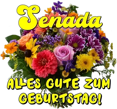 Senada, alles Gute zum Geburtstag! Senada, alles Gute zum Geburtstag!