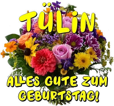 Tülin, alles Gute zum Geburtstag! Tülin, alles Gute zum Geburtstag!
