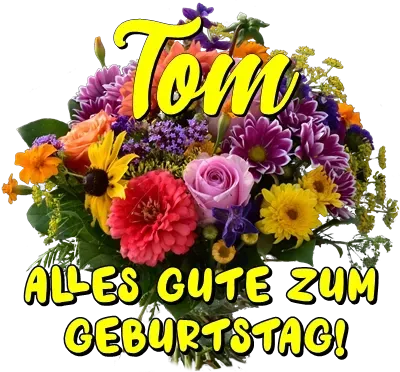 Tom, alles Gute zum Geburtstag! Tom, alles Gute zum Geburtstag!