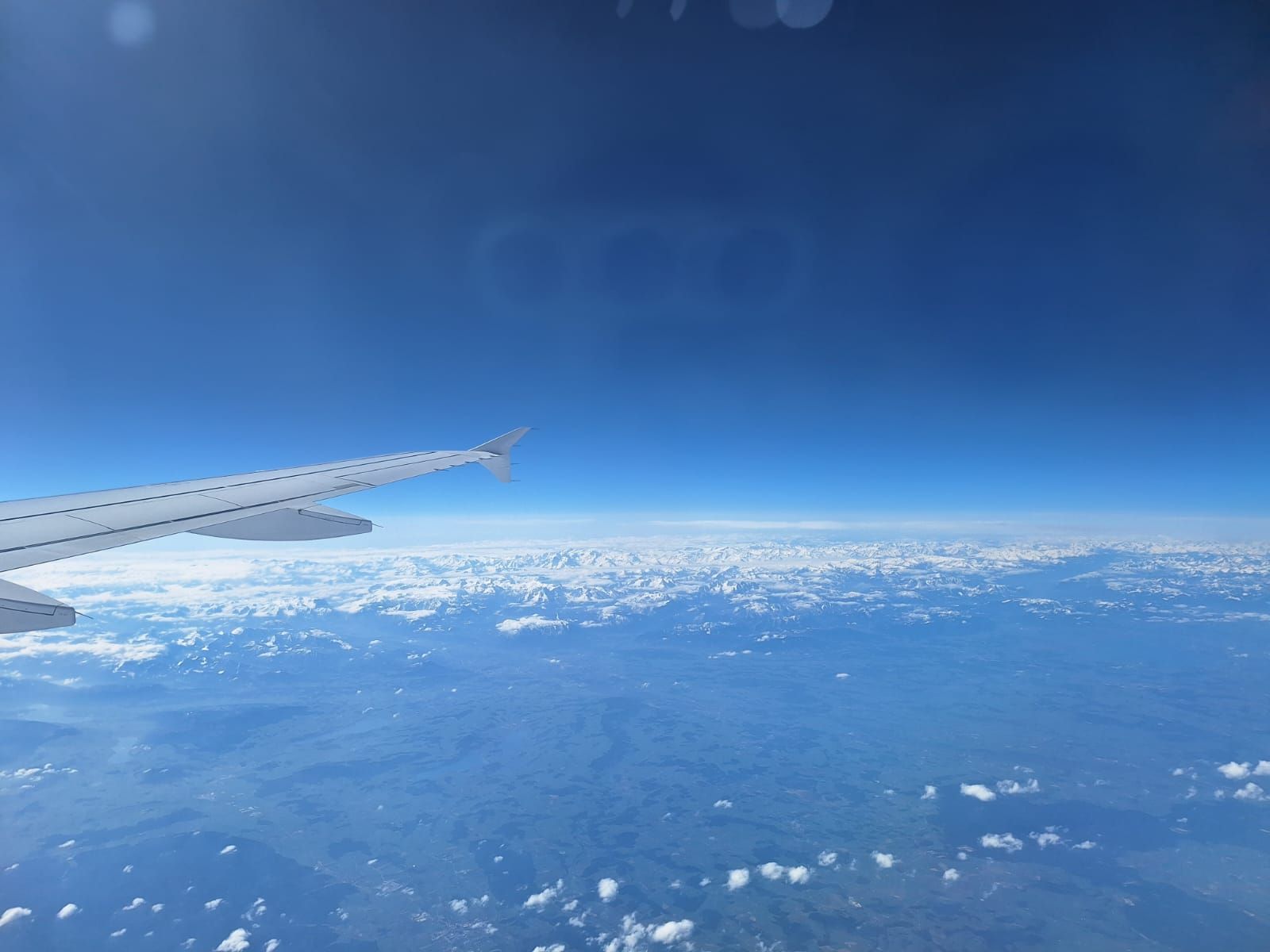 Kastrationsaktion, Kastrationskampagne, Kastrationen, Tierschutz, Rumänien, Straßenhunde