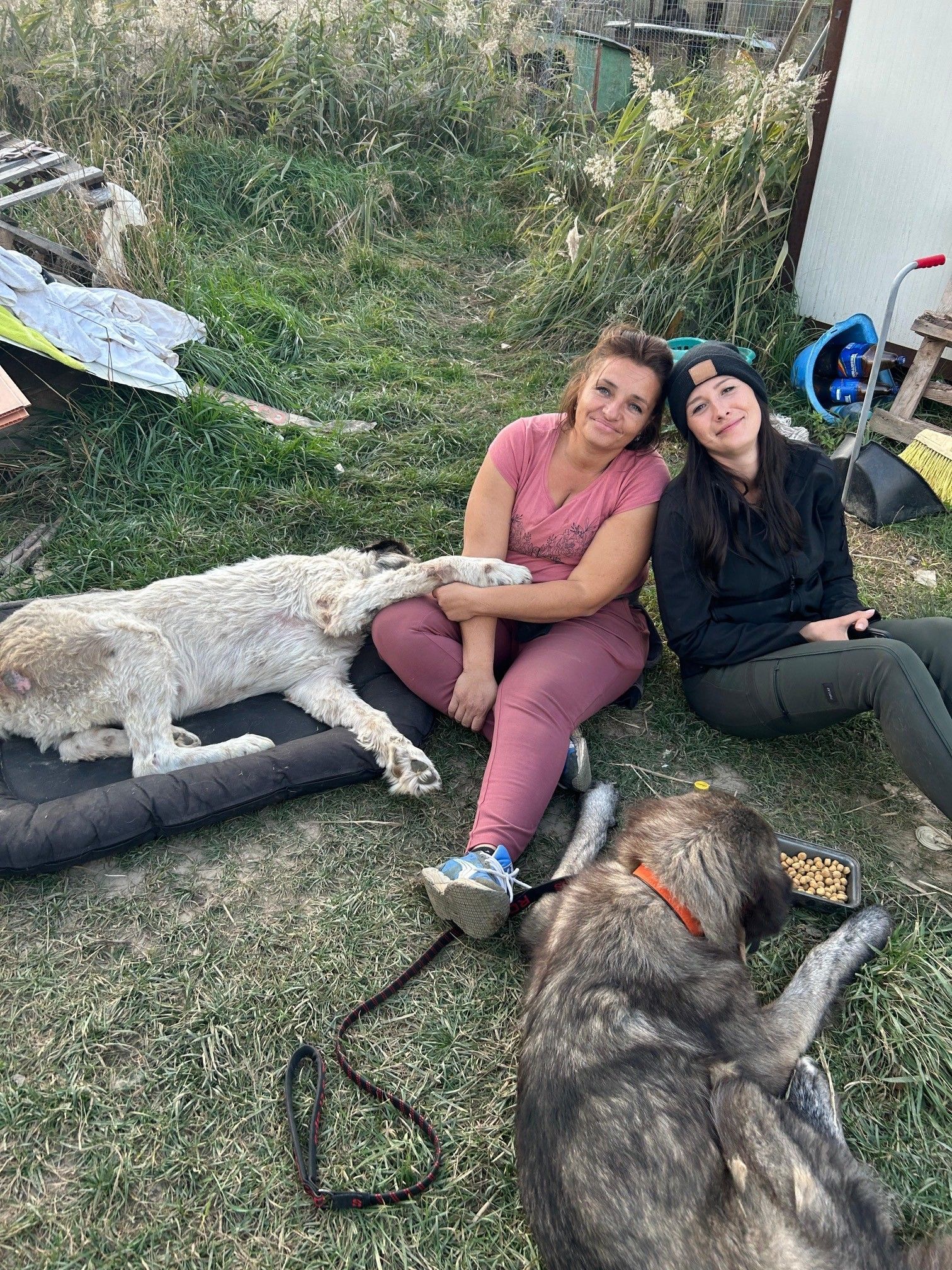 Shelter Gabriela Nistor Onesti Shelter Gabriela Nistor Onesti