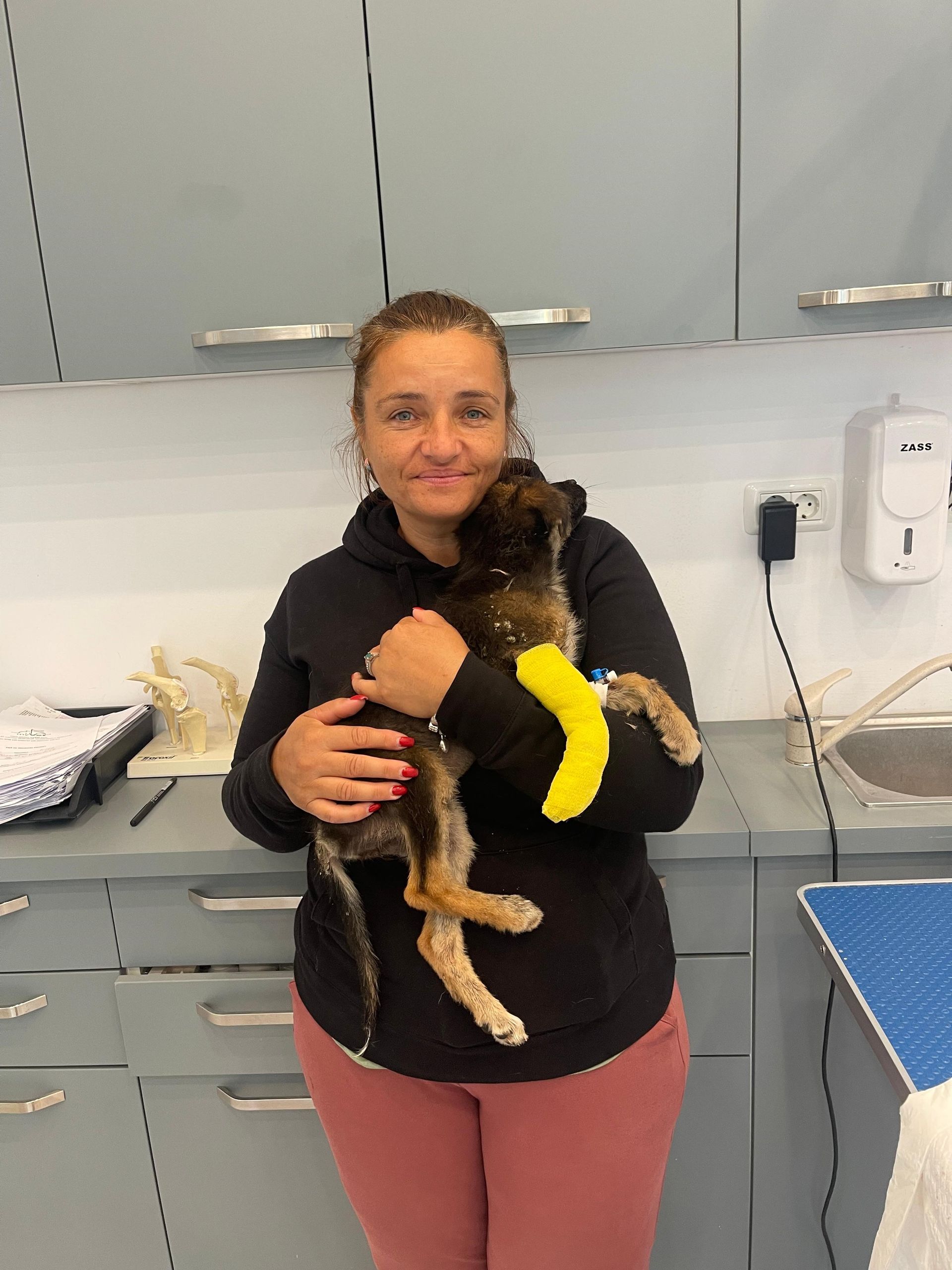 Shelter Gabriela Nistor Onesti Shelter Gabriela Nistor Onesti