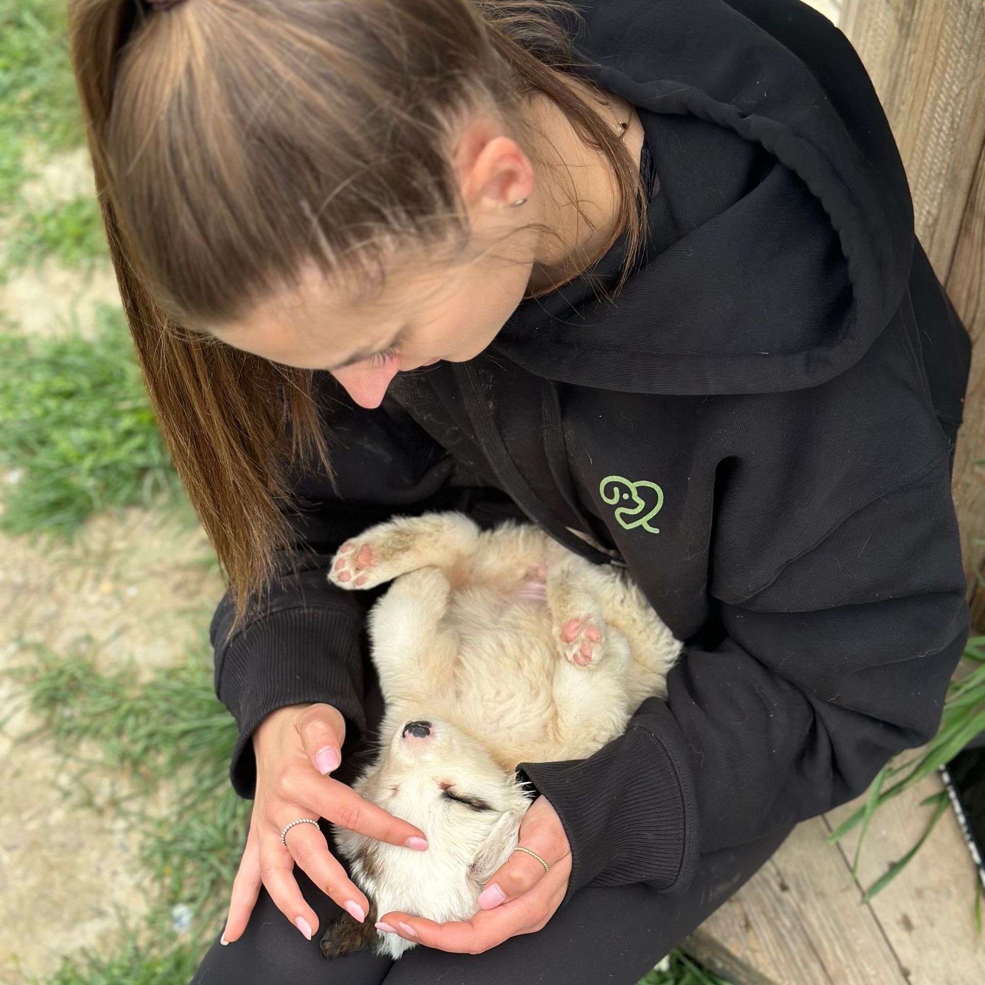 Werde ein Teil von uns Tierschutz, Tierrettung, Tierschutzhund, Hund, Zuhause gesucht, Rumänien