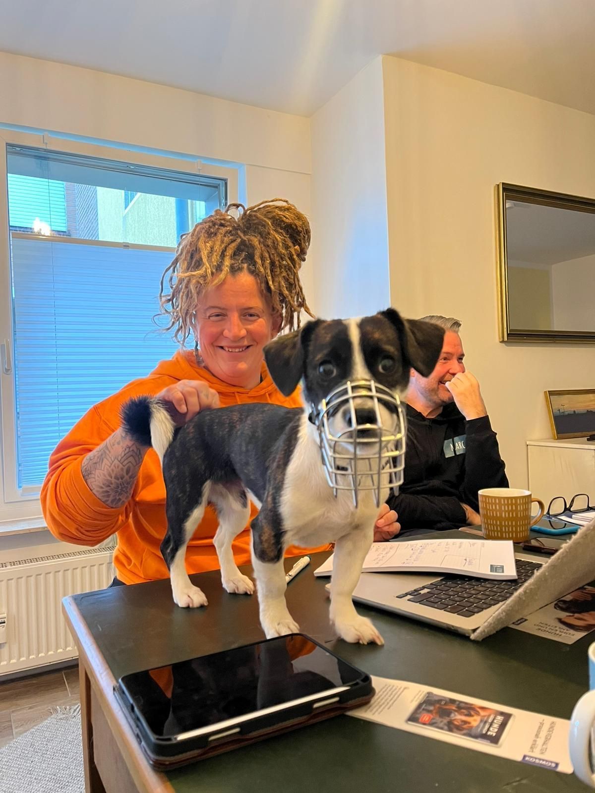 Tierschutz, Tierrettung, Tierschutzhund, Hund, Adoptieren, Zuhause gesucht