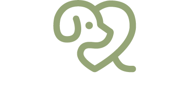 resQdogs Tierschutzverein