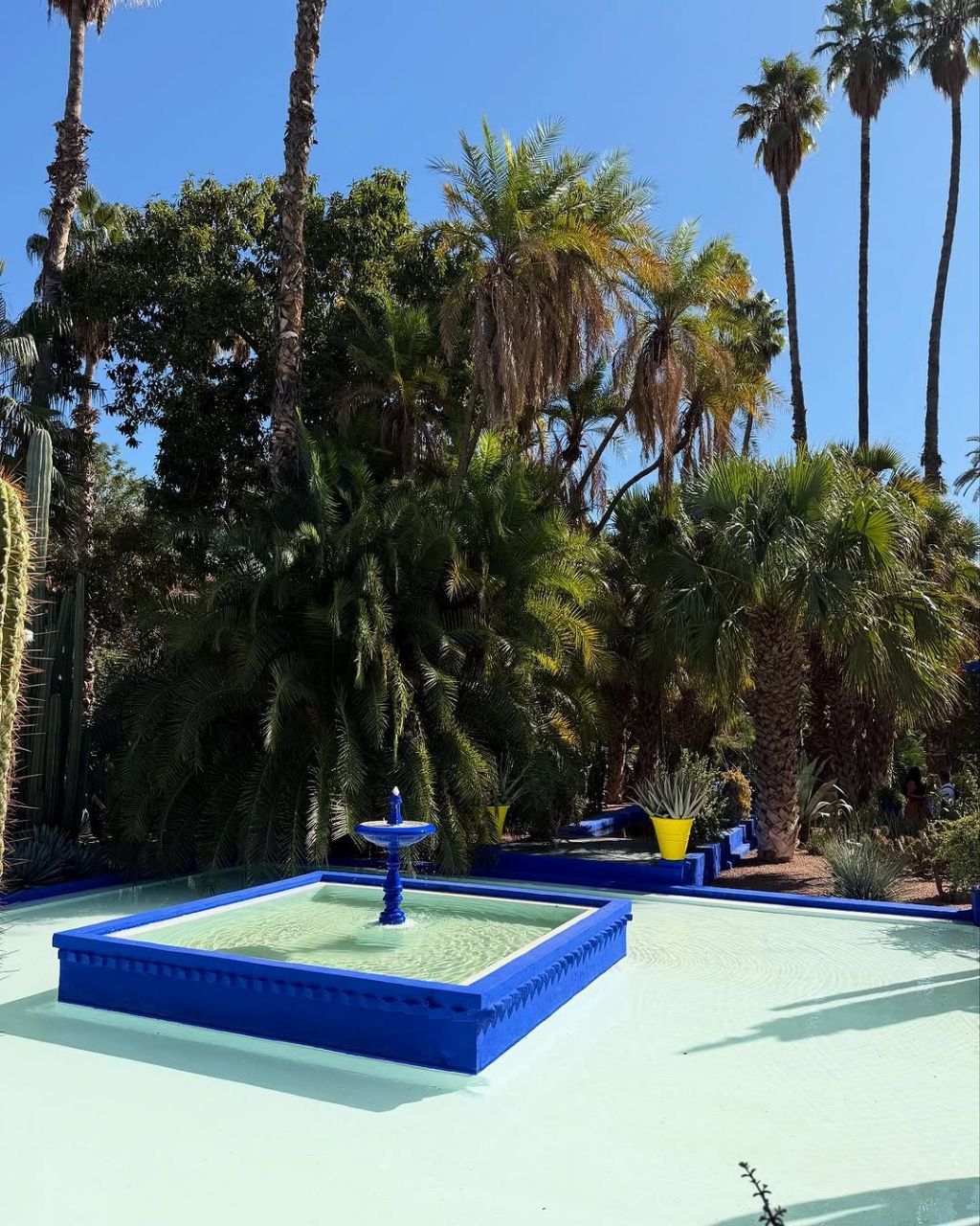 JARDIN DE MAJORELLE MARRAKECH