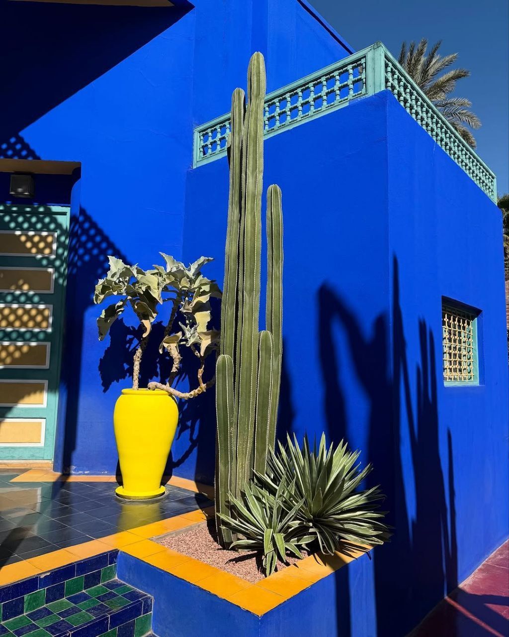 JARDIN DE YVES SAINT LAURENT MARRAKECH