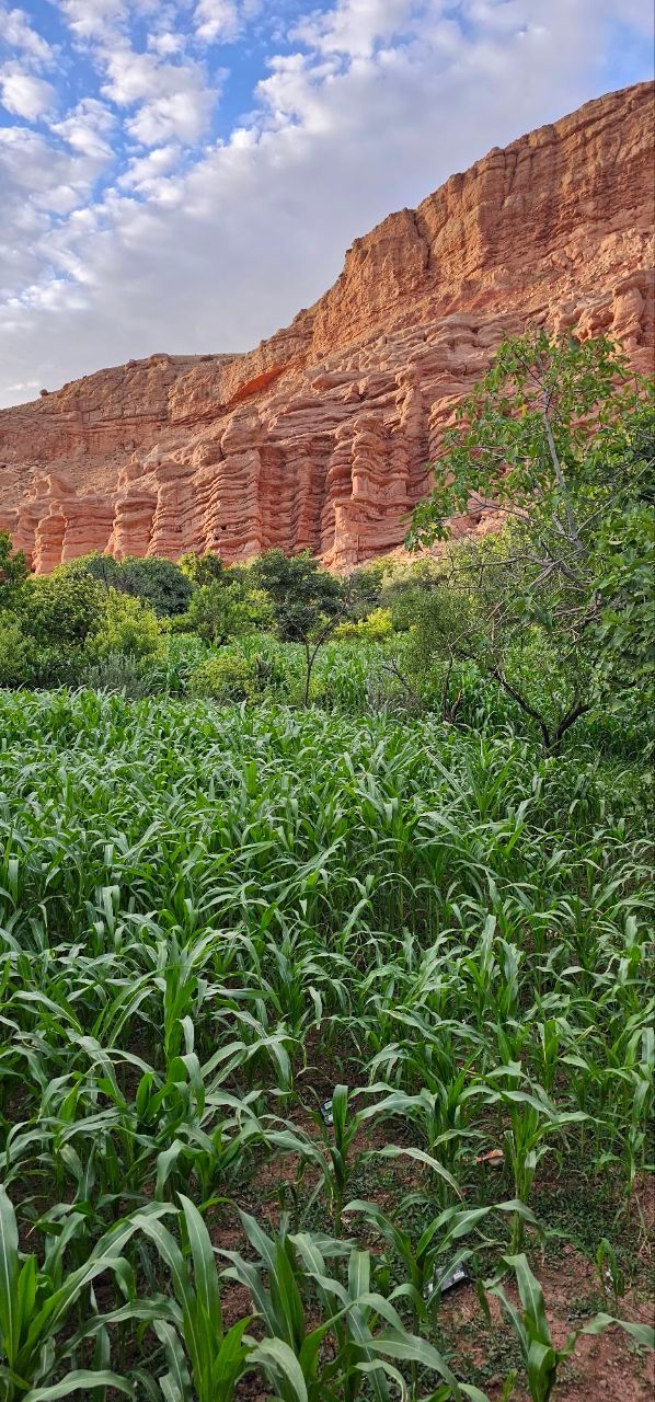 GArgantas de Dades | Paisajes de MArruecos | Tours en Marruecos