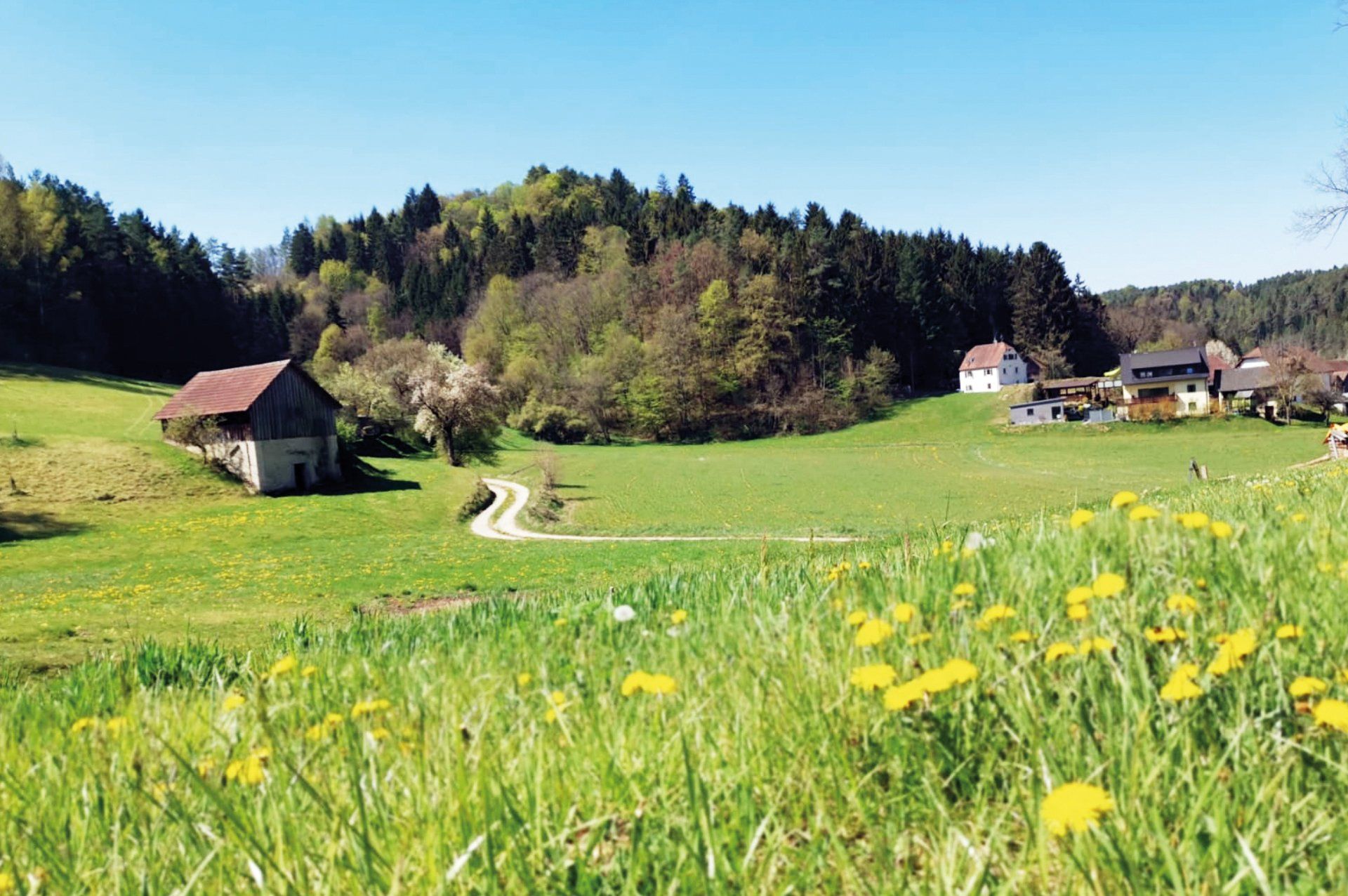 Wandern in der Fränkischen Schweiz