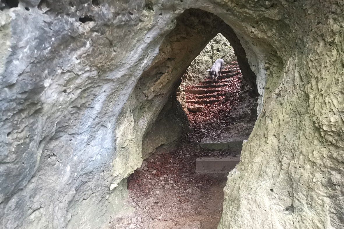 Höhlen in der Fränkischen Schweiz