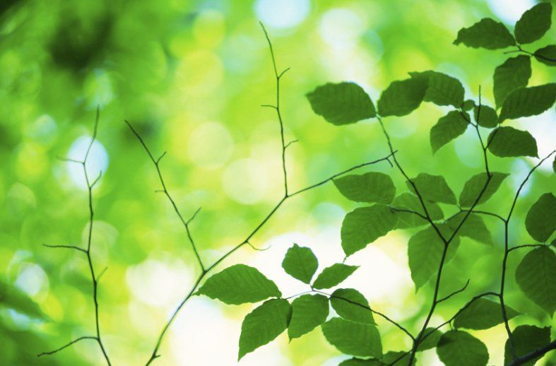 Kletterwälder in der Fränkischen Schweiz