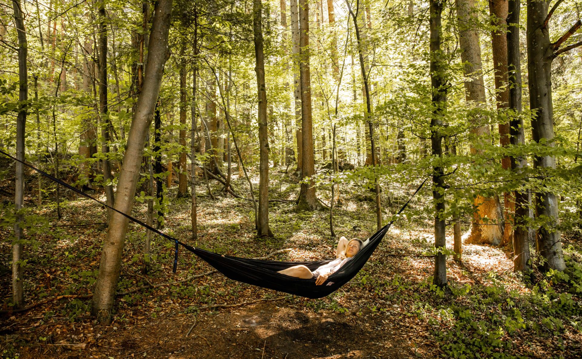 Tiny House Waldwiege