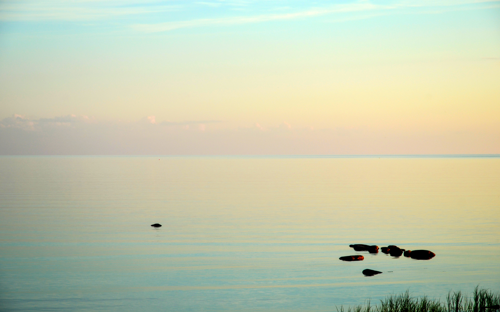 Find Your Tranquility Counseling and Wellness