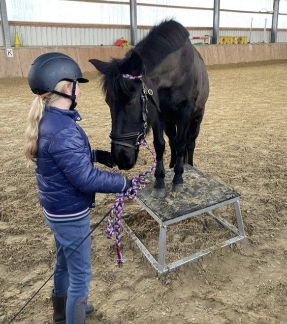 Bunter Bodenparcours am 1. Februar 2026