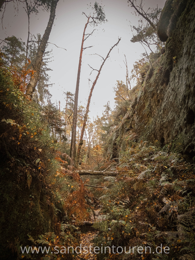 Täler Schlüchte Gründe Elbsandsteingebirge Täler Schlüchte Gründe Elbsandsteingebirge