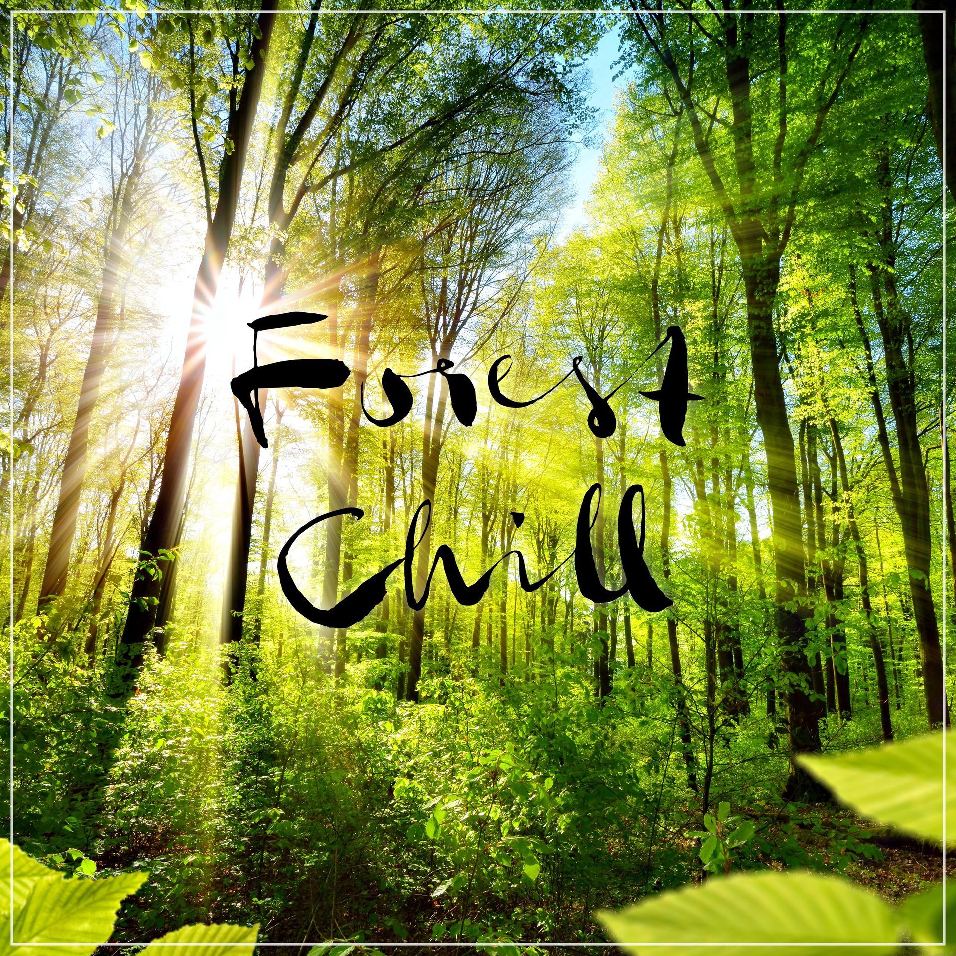 Ullip - official Homepage - Percussion drives Emotions