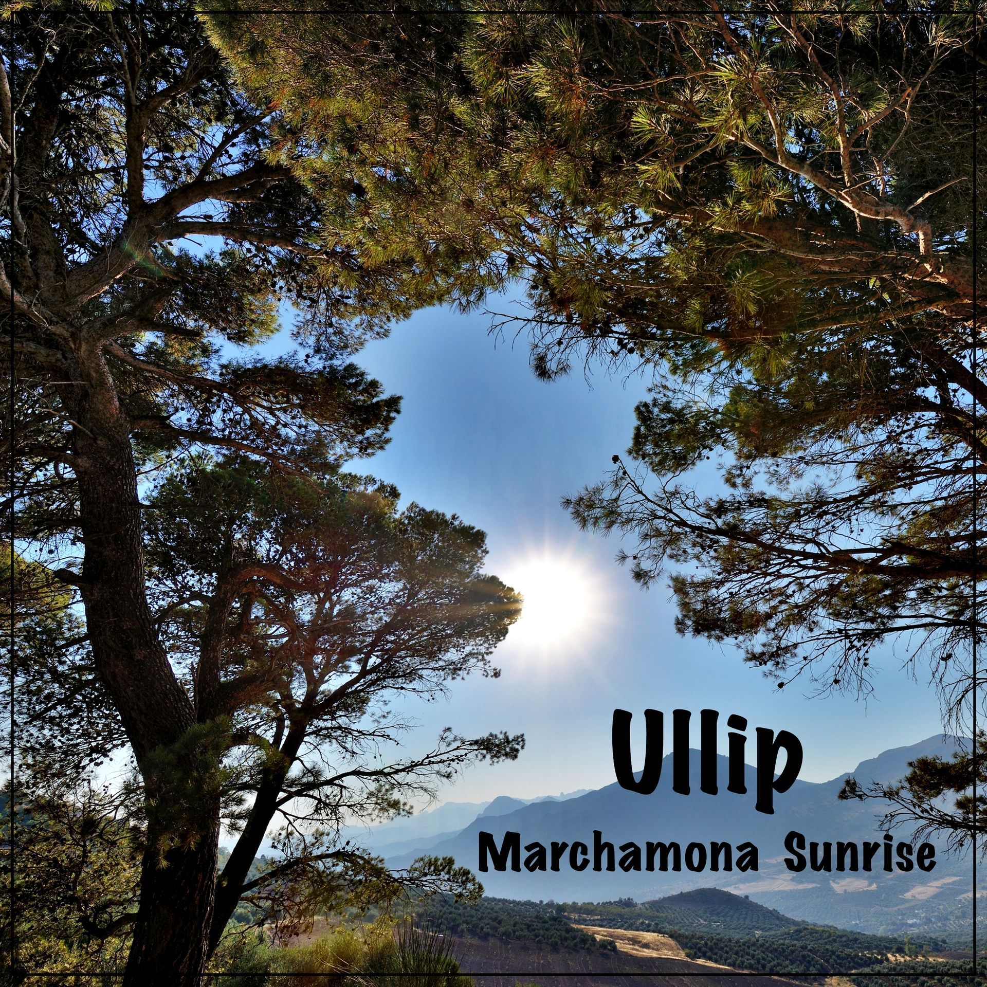 Ullip - Percussion drives Emotions  - official Homepage