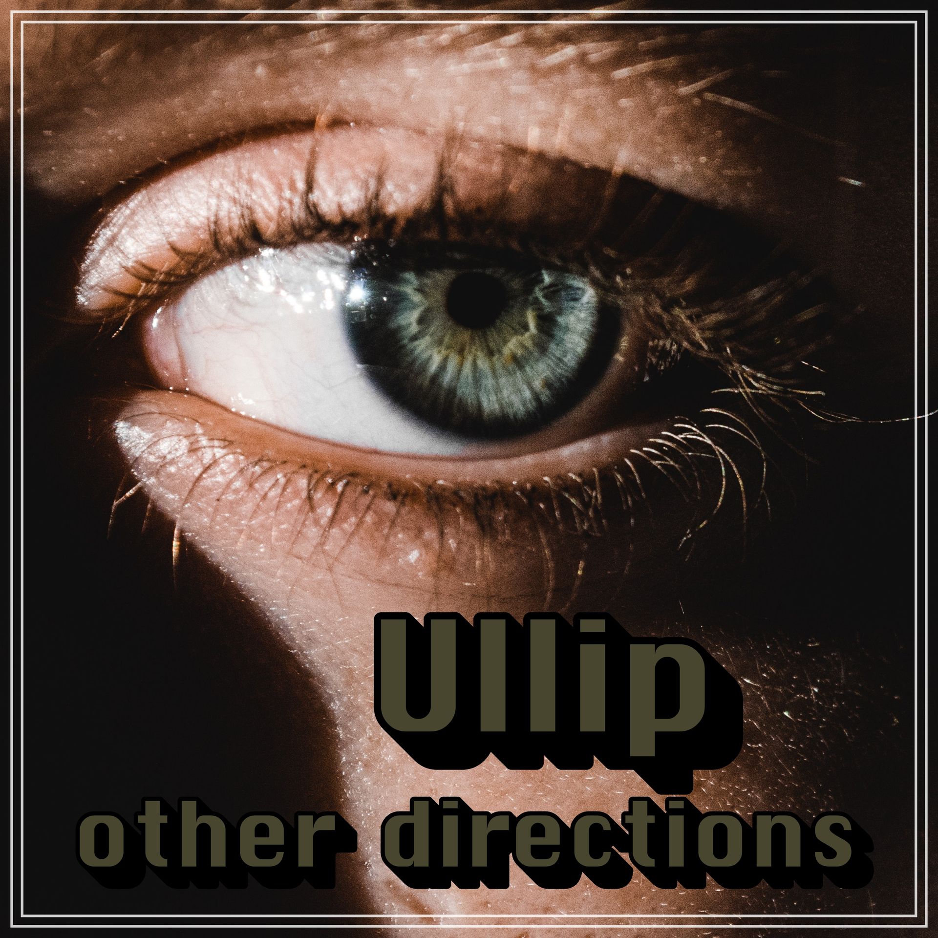 Ullip solo projects
Other  directions