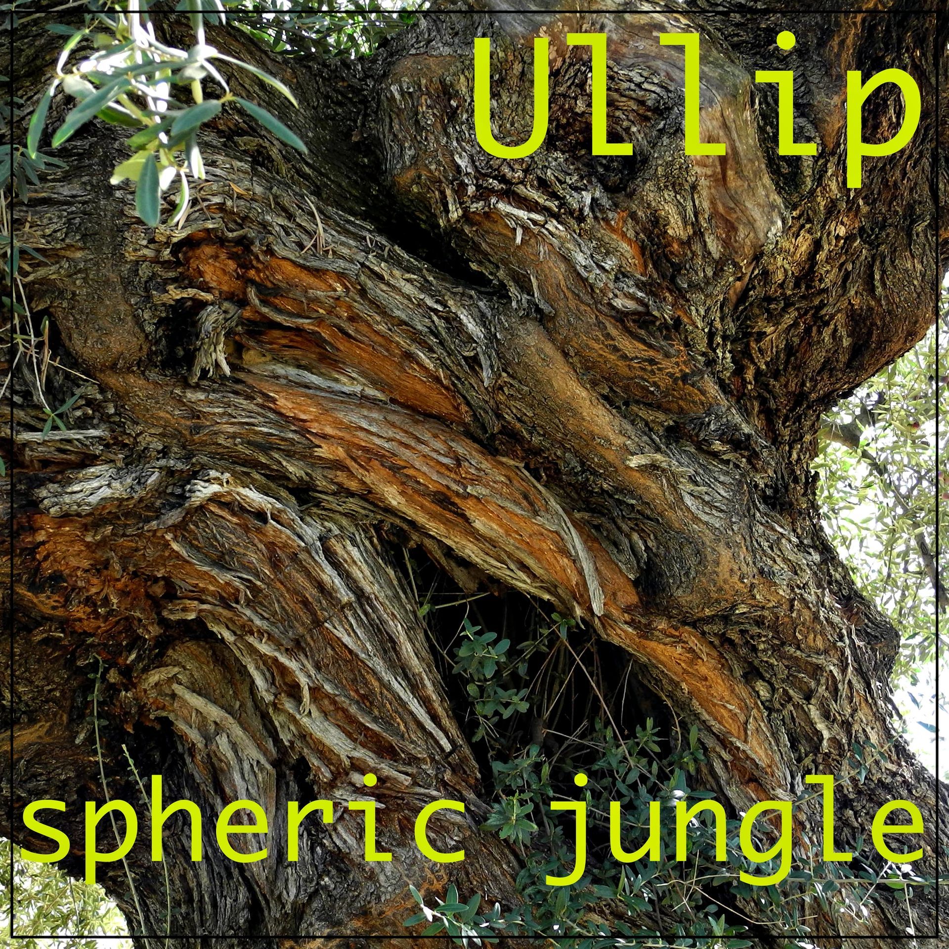 welcome on Ullip Page - Percussion drives Emotionsme on Ullip Page - Percussion drives Emotions
Spheric Jungle