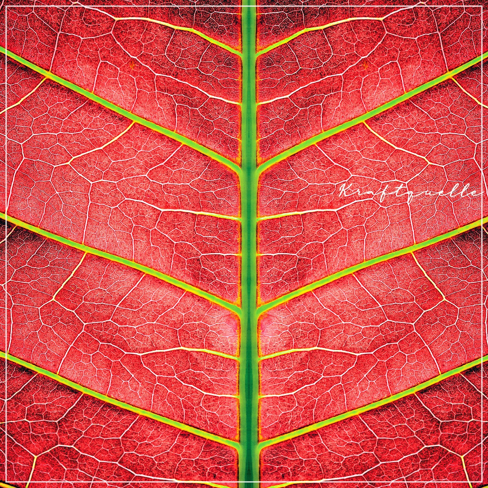 Ullip - Percussion drives Emotions - official Homepage