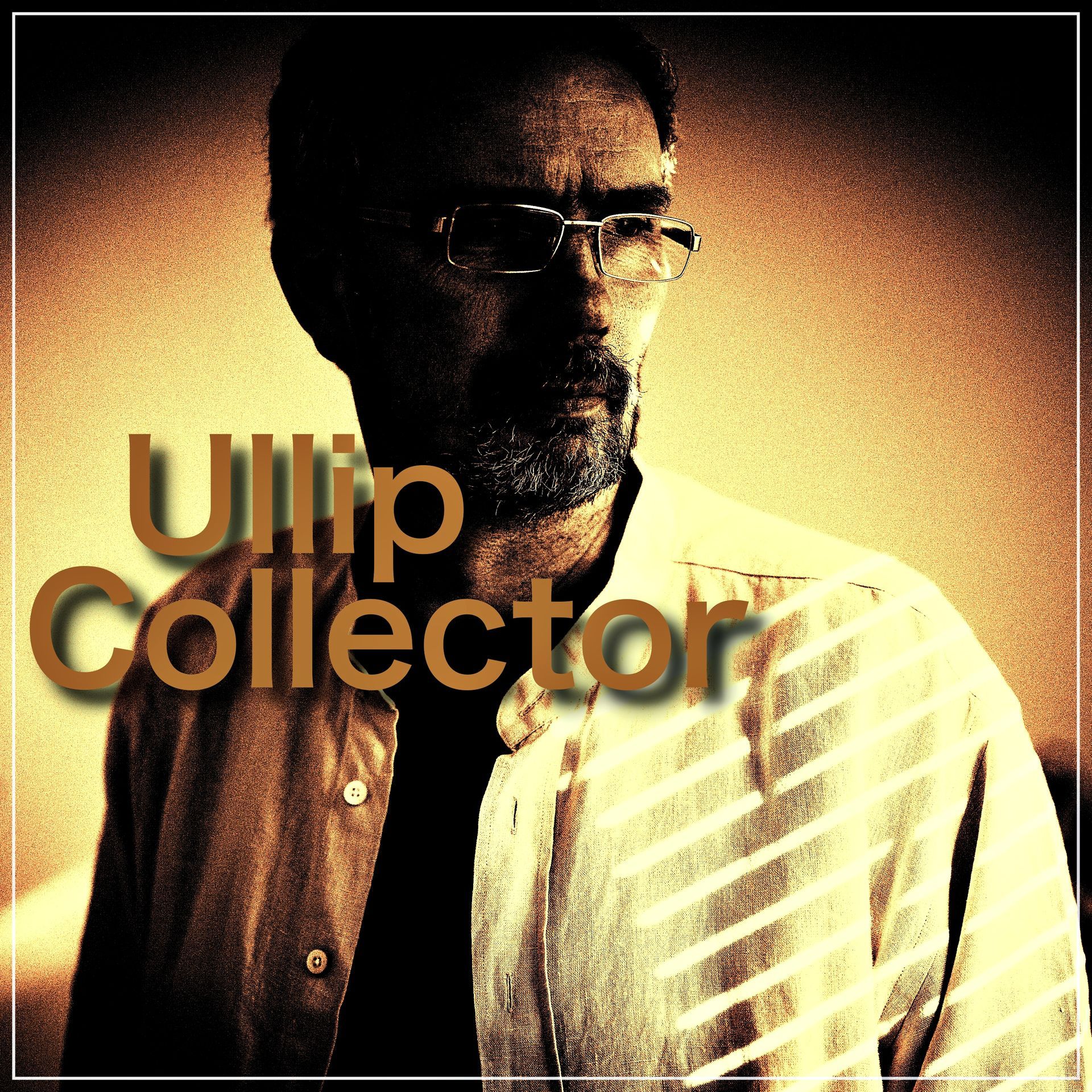 welcome on Ullip Page - Percussion drives Emotions Collector