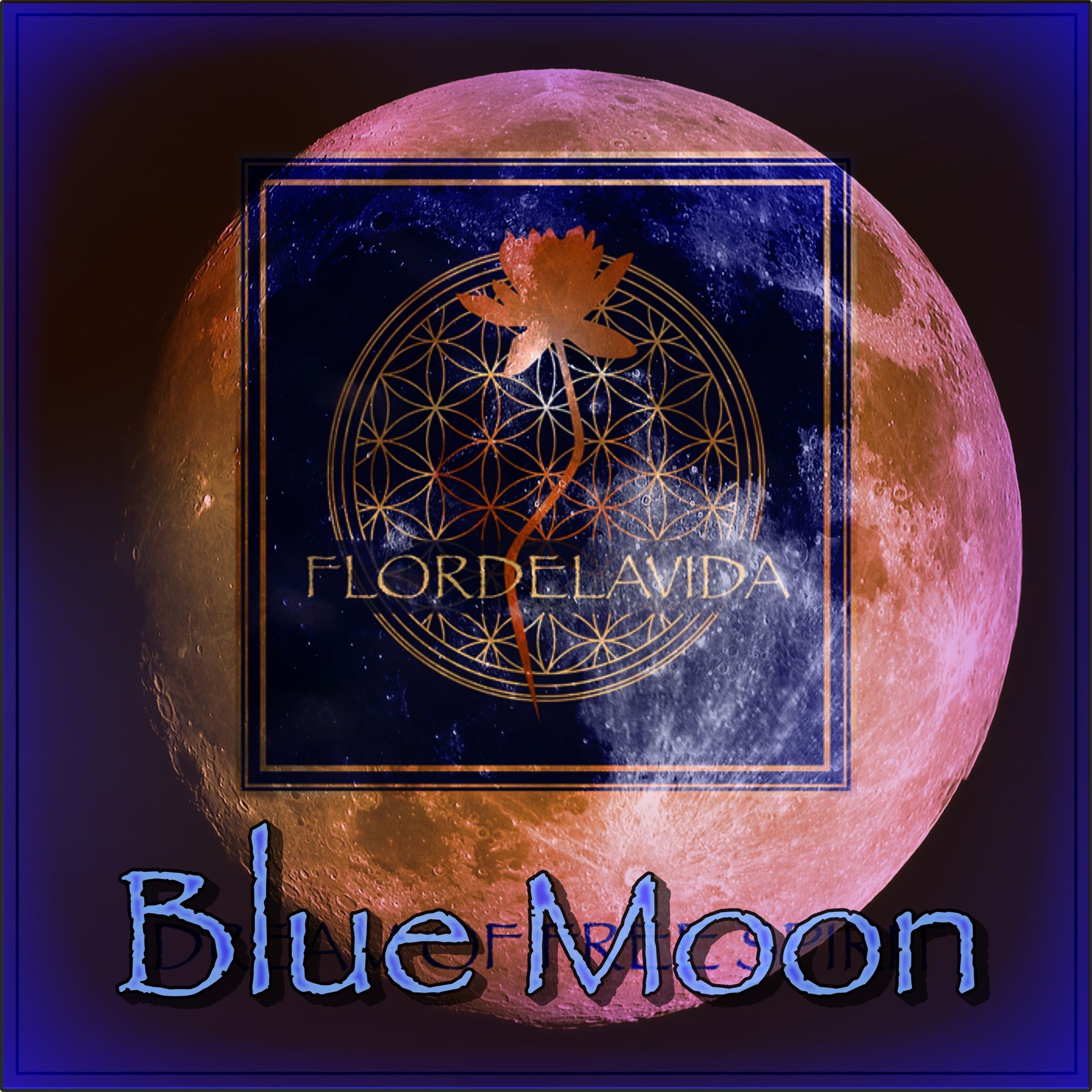 Ullip publications © all Rights reseved