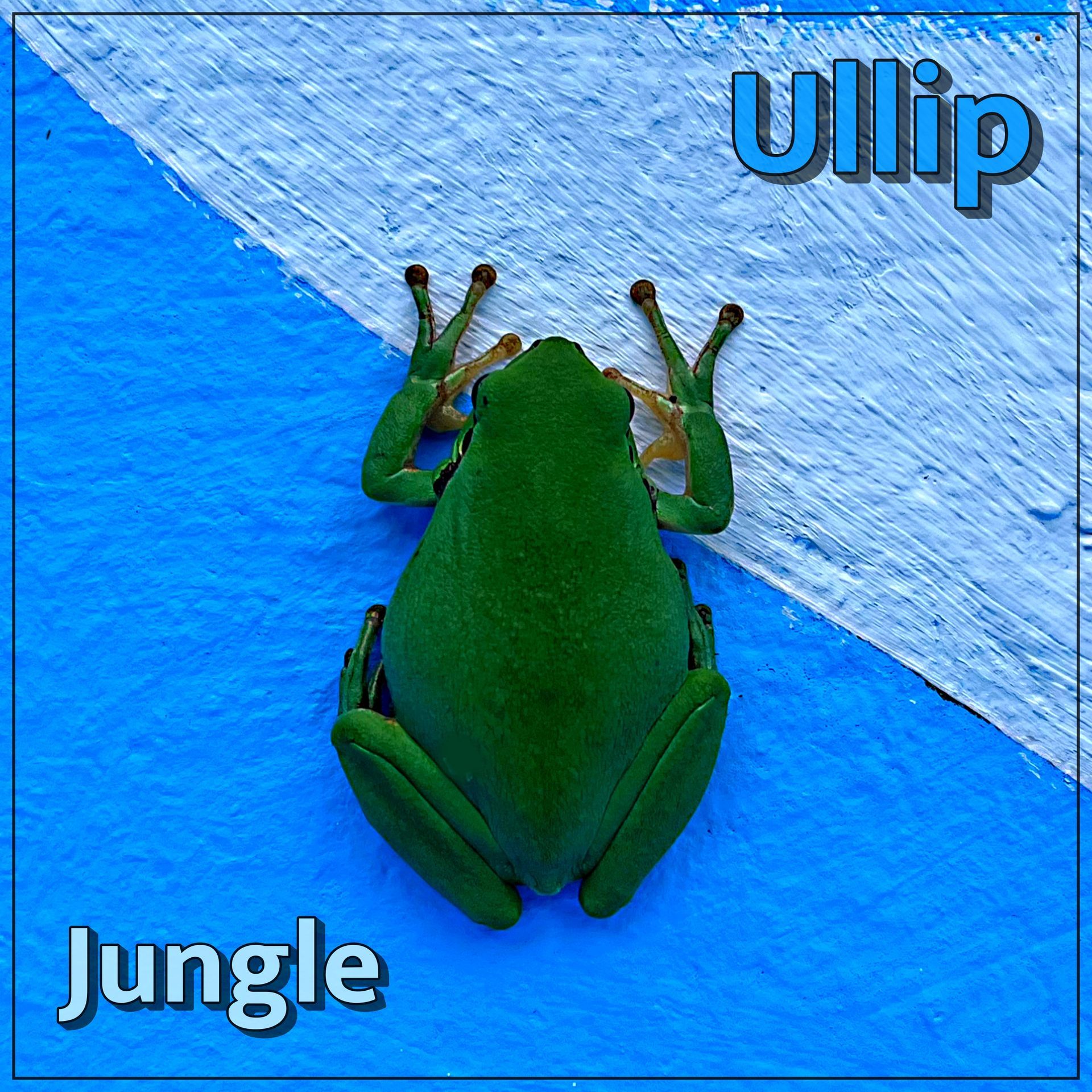 Ullip publications © all Rights reseved