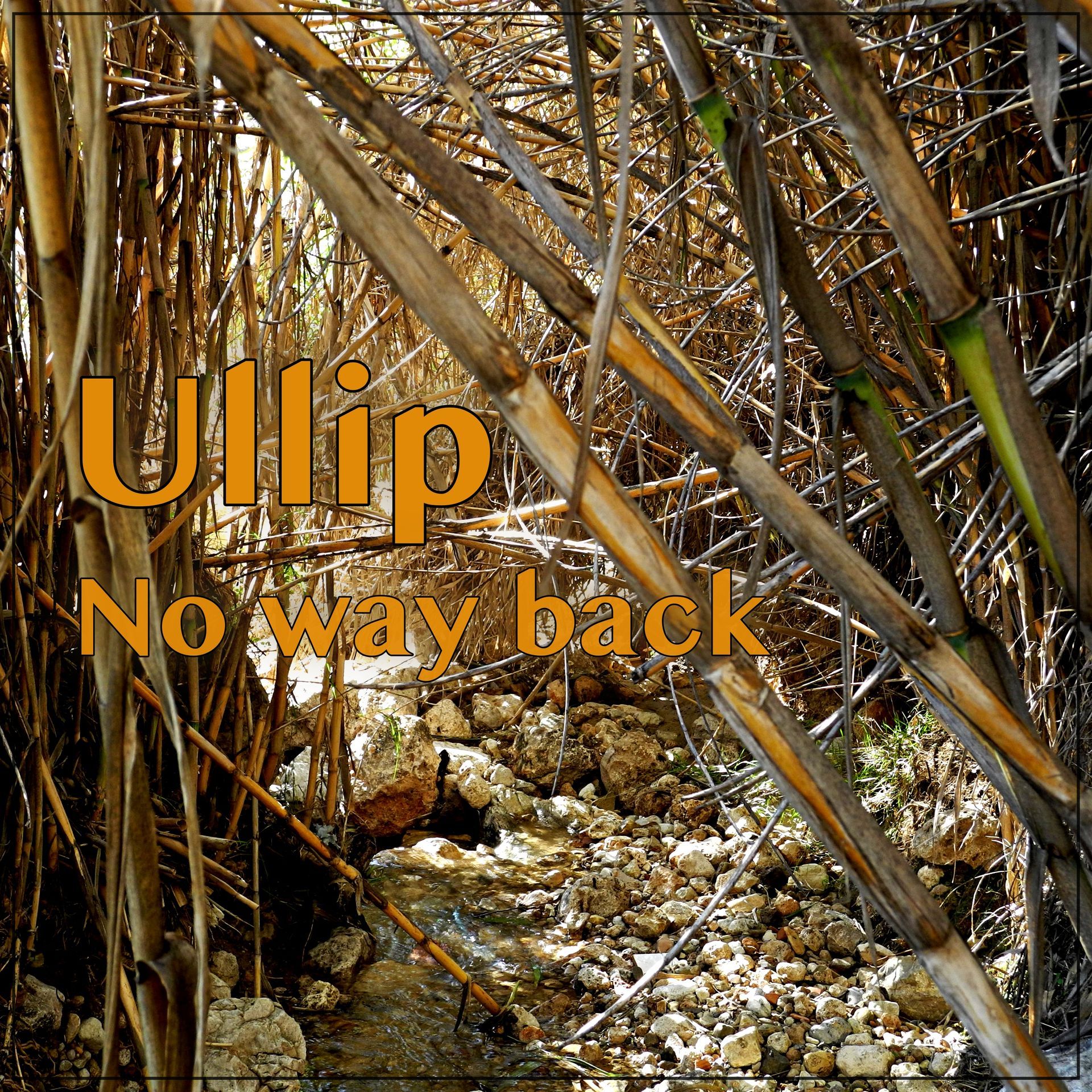 Ullip publications © all Rights  reseved
