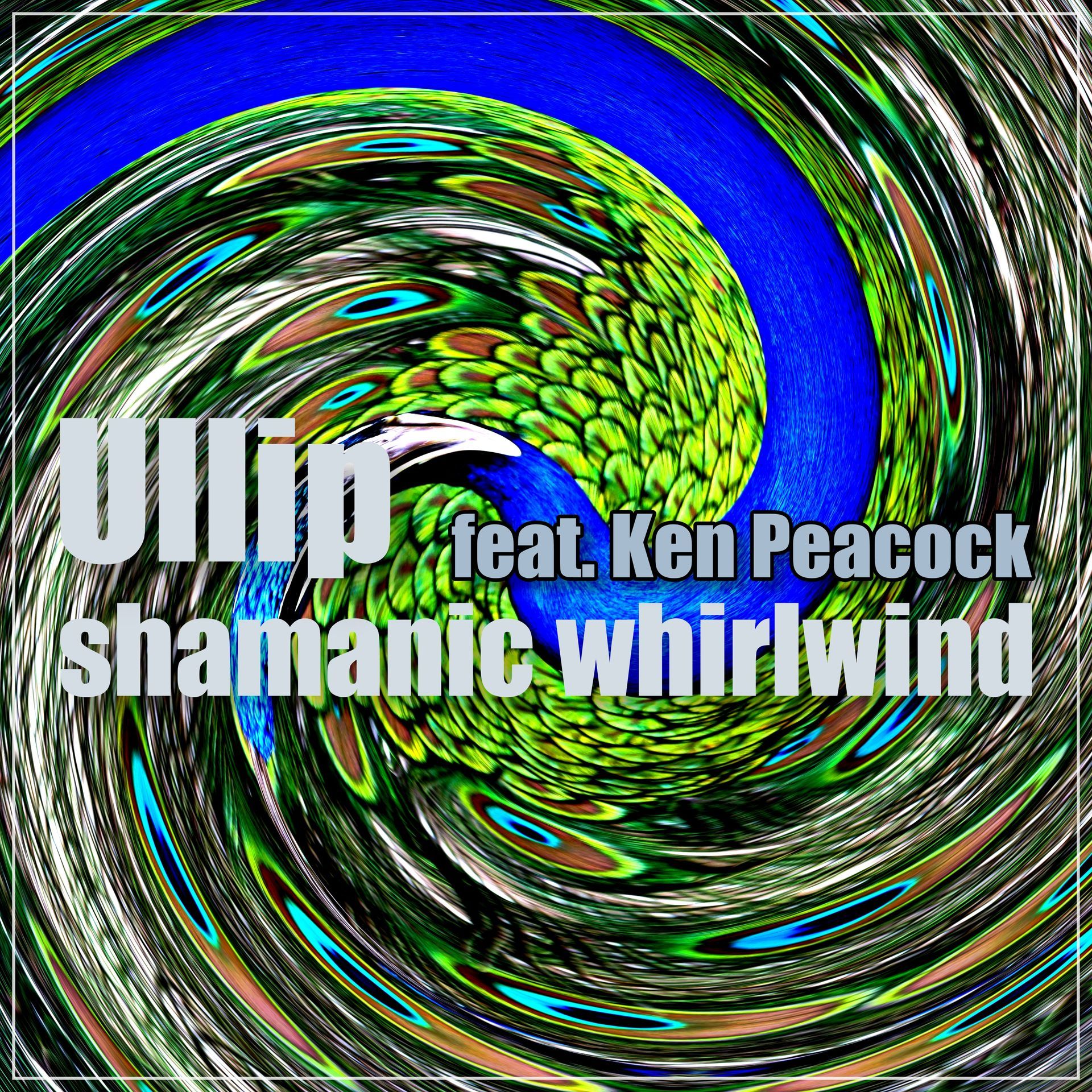 shamanic wirlwind001