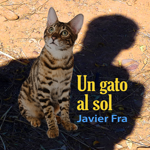 Álbum: Un gato al sol, de Javier Fra, publicado en 2023.