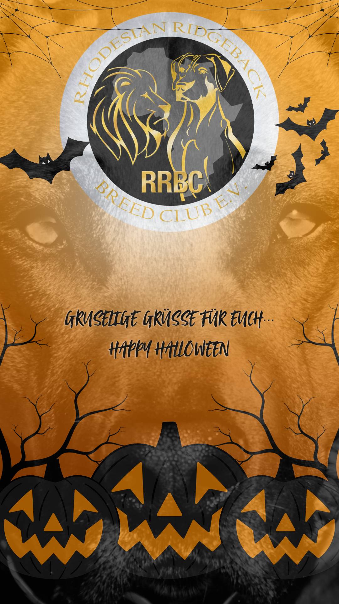 Trick or treat... Happy Halloween Trick or treat... Happy Halloween