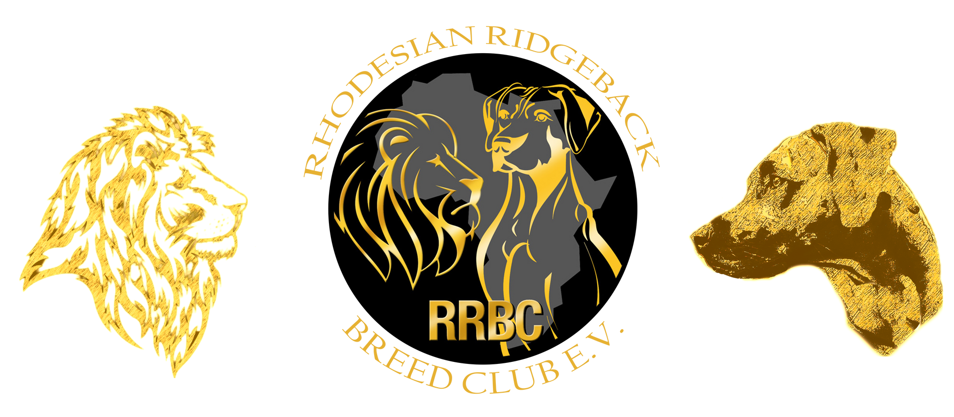 Rhodesian Ridgeback Breed Club e.V. Rhodesian Ridgeback Breed Club e.V.