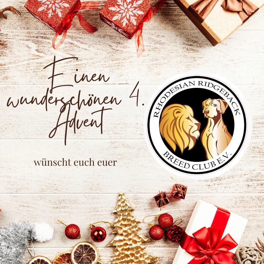 dann vier, dann steht das Christkind vor der Tür. 4. Advent Bild mit einem Löwen und einen Rhodesian Ridgeback.