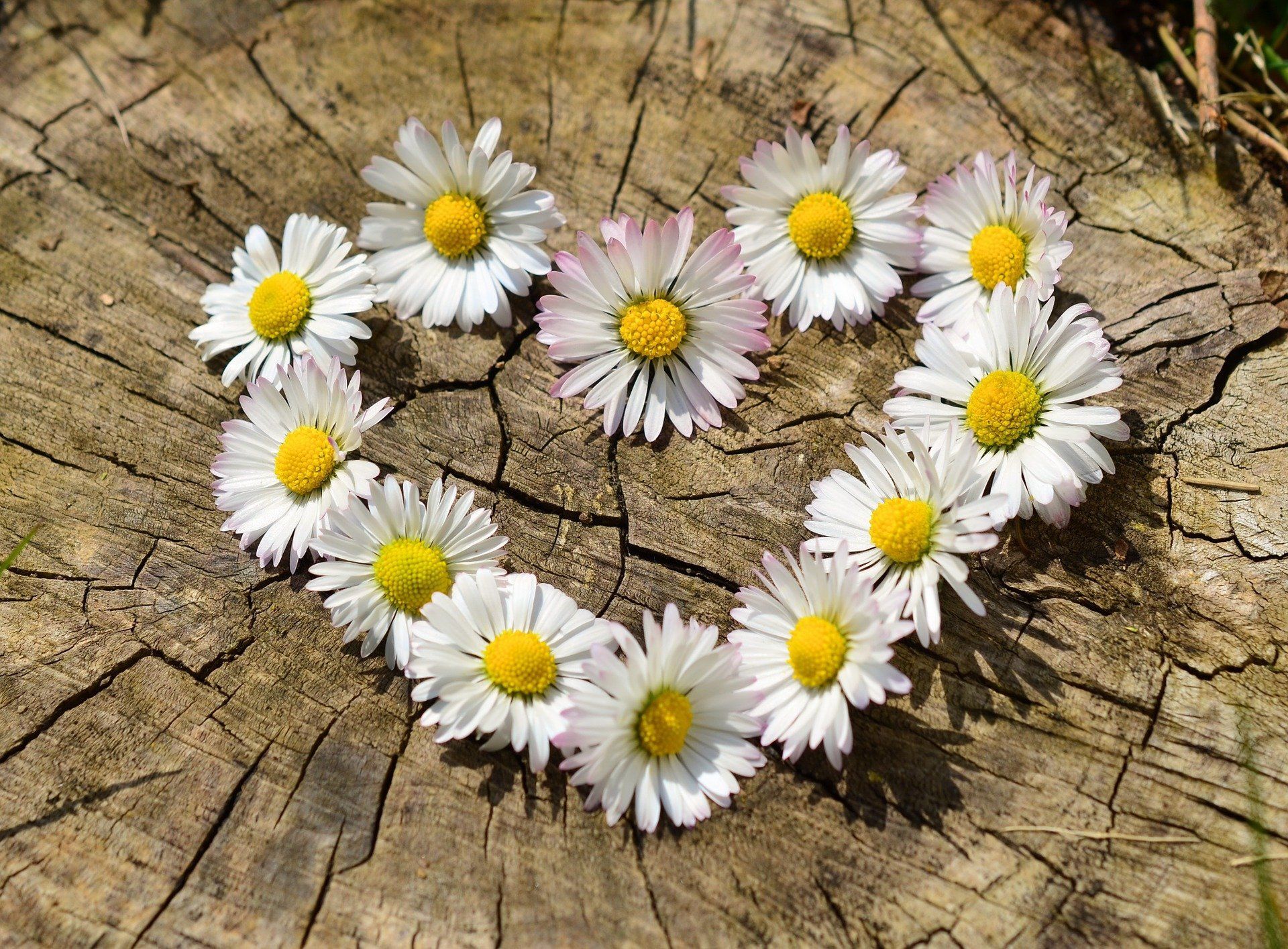 Blog News Tu dir gut