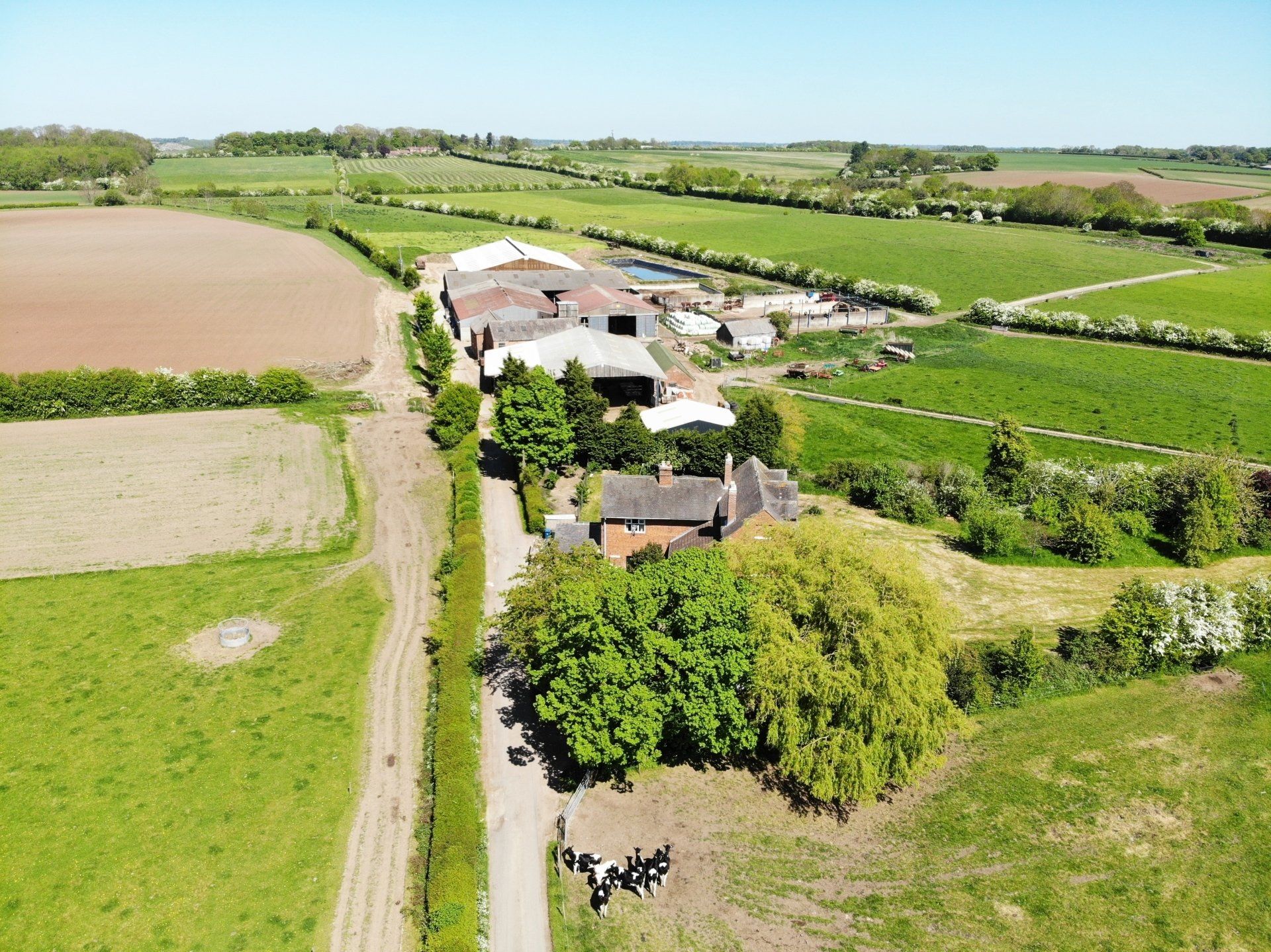farm aerial photo