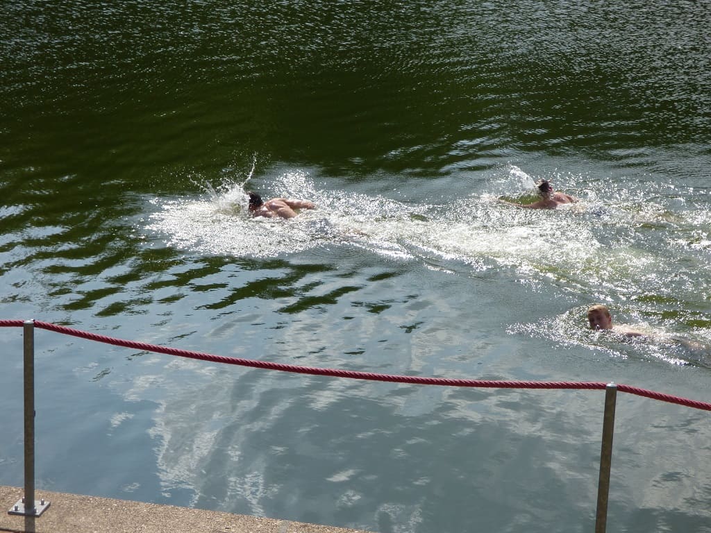 wettschwimmen