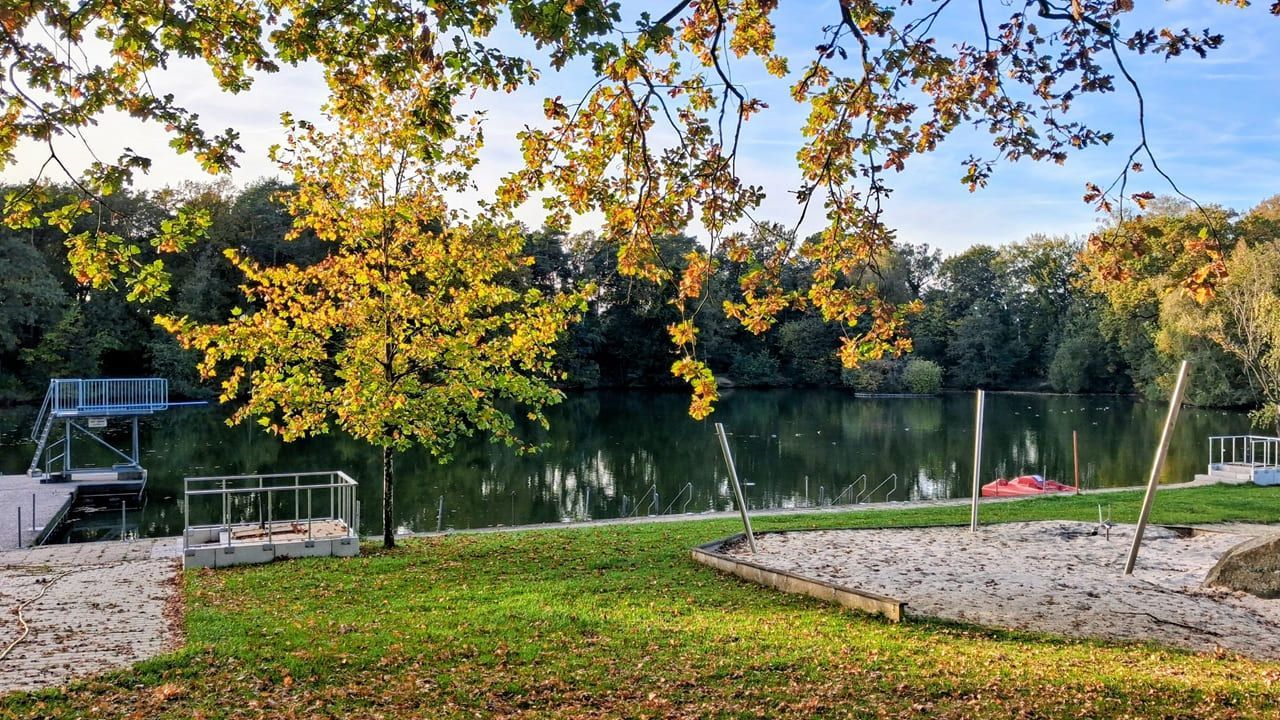 waldfreibad-liegewiese1