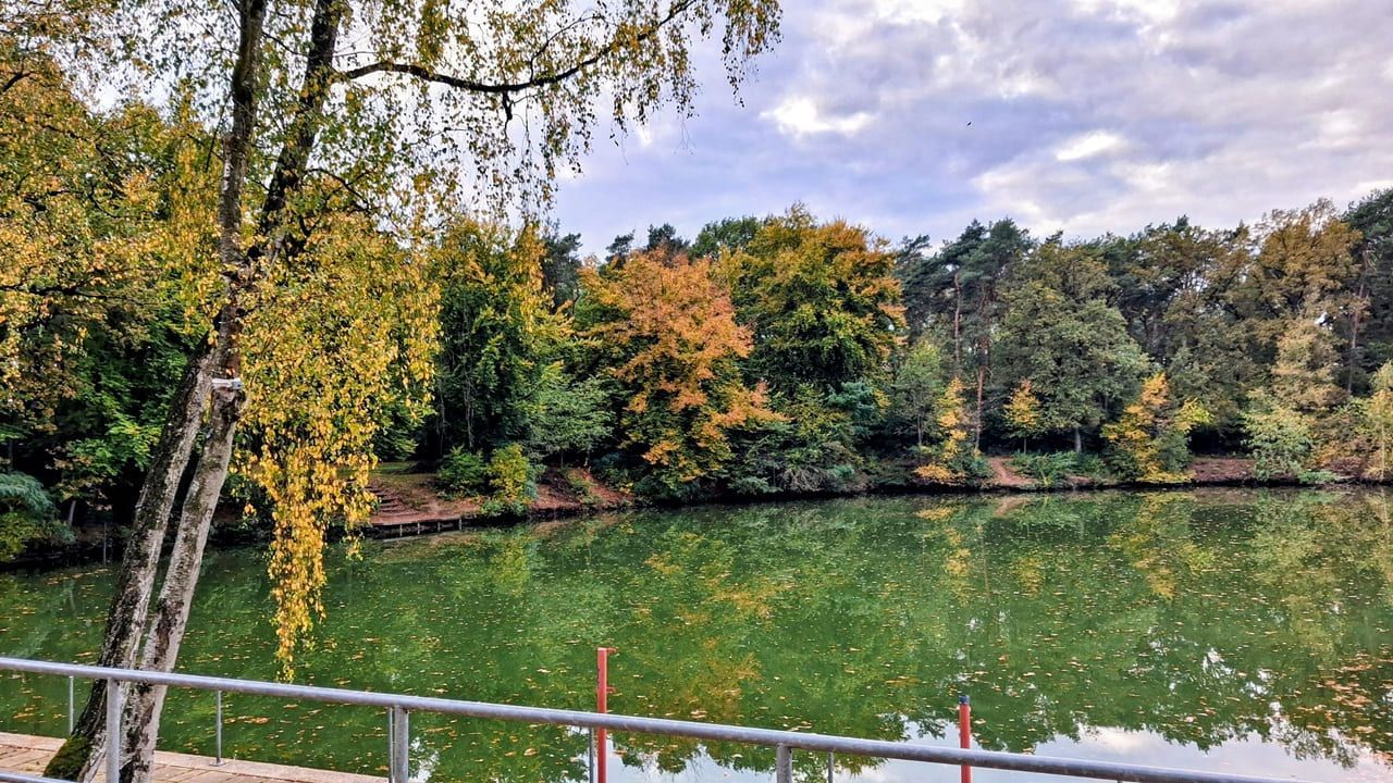 waldfreibad-liegewiese1