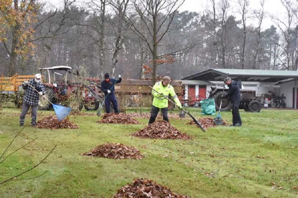 laubharkaktion-2020-1