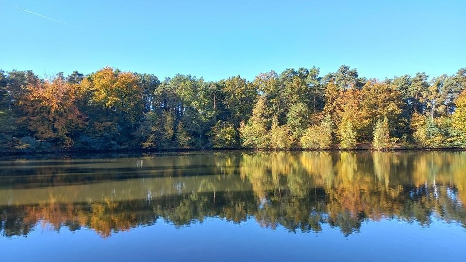 waldfreibad-wasser3
