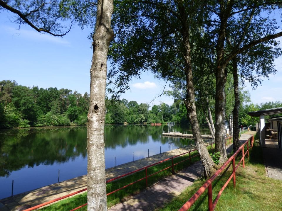 waldfreibad-wasser2