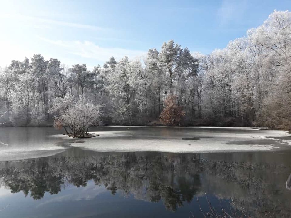 waldfreibad-winter1