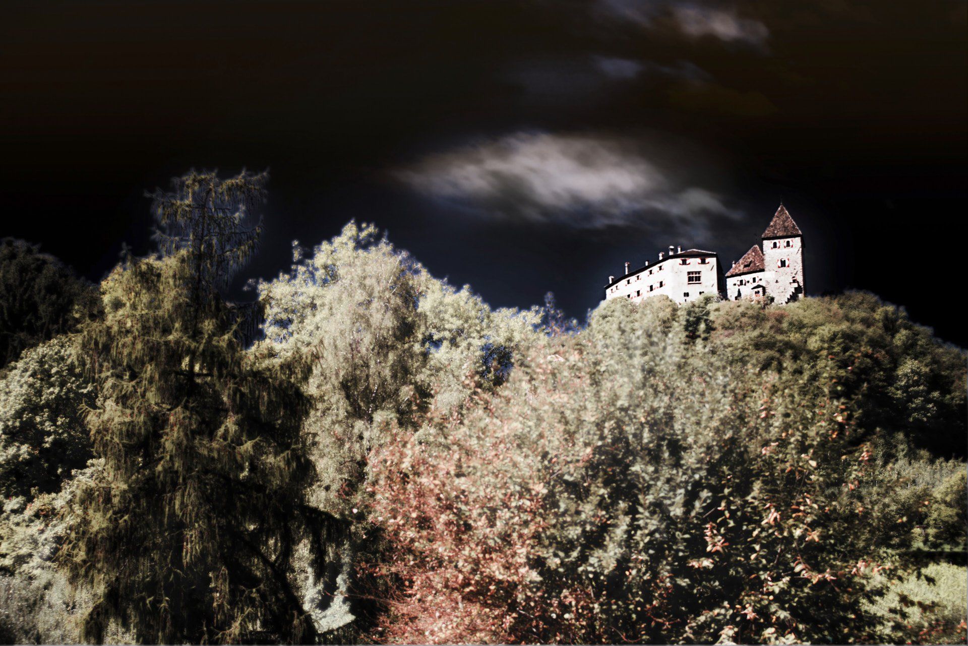 burg_werberg burg_werberg