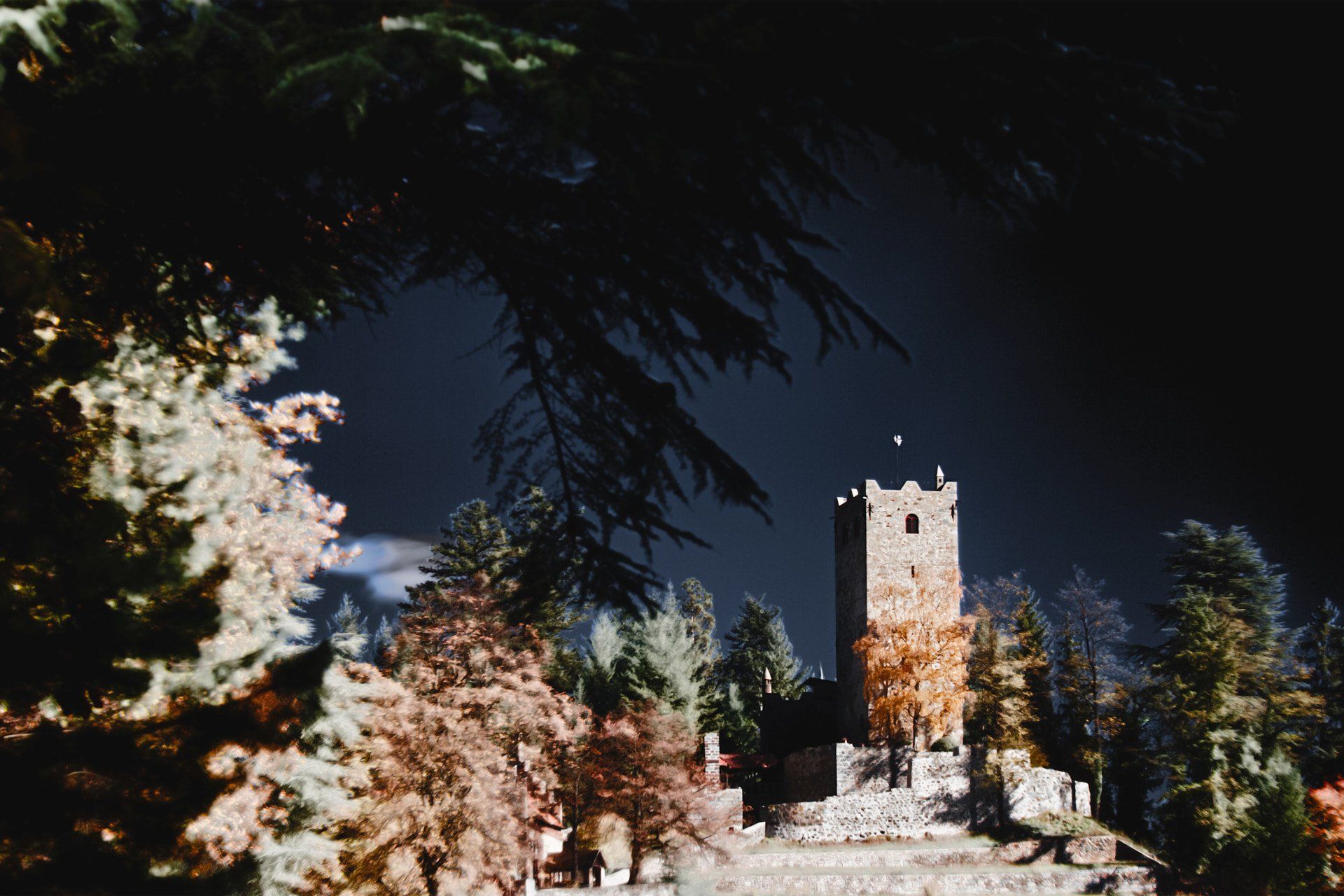 burg_zwingenberg burg_zwingenberg