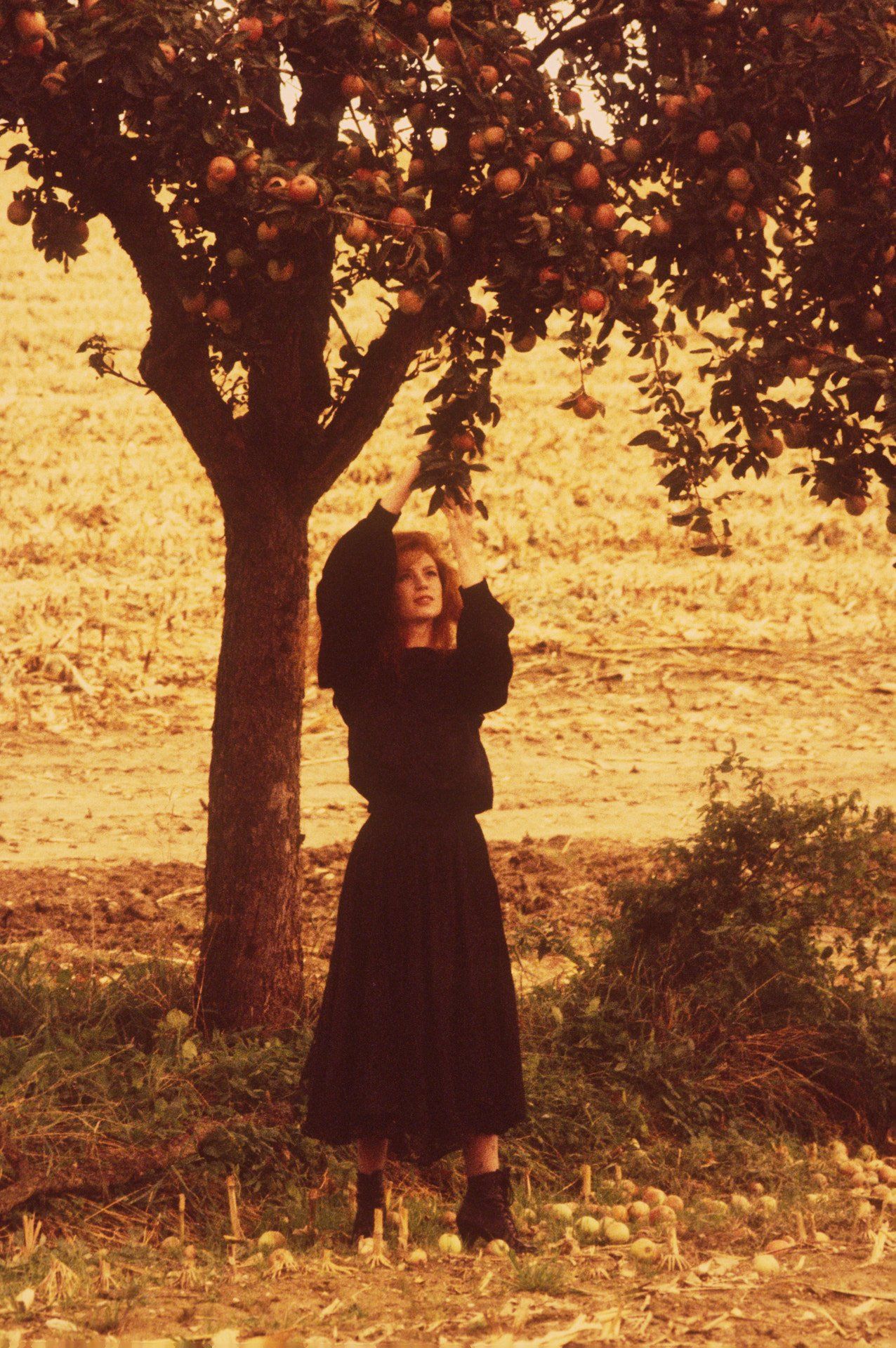 lost_mystical_dreams_dagmar_p. lost_mystical_dreams_dagmar_p.