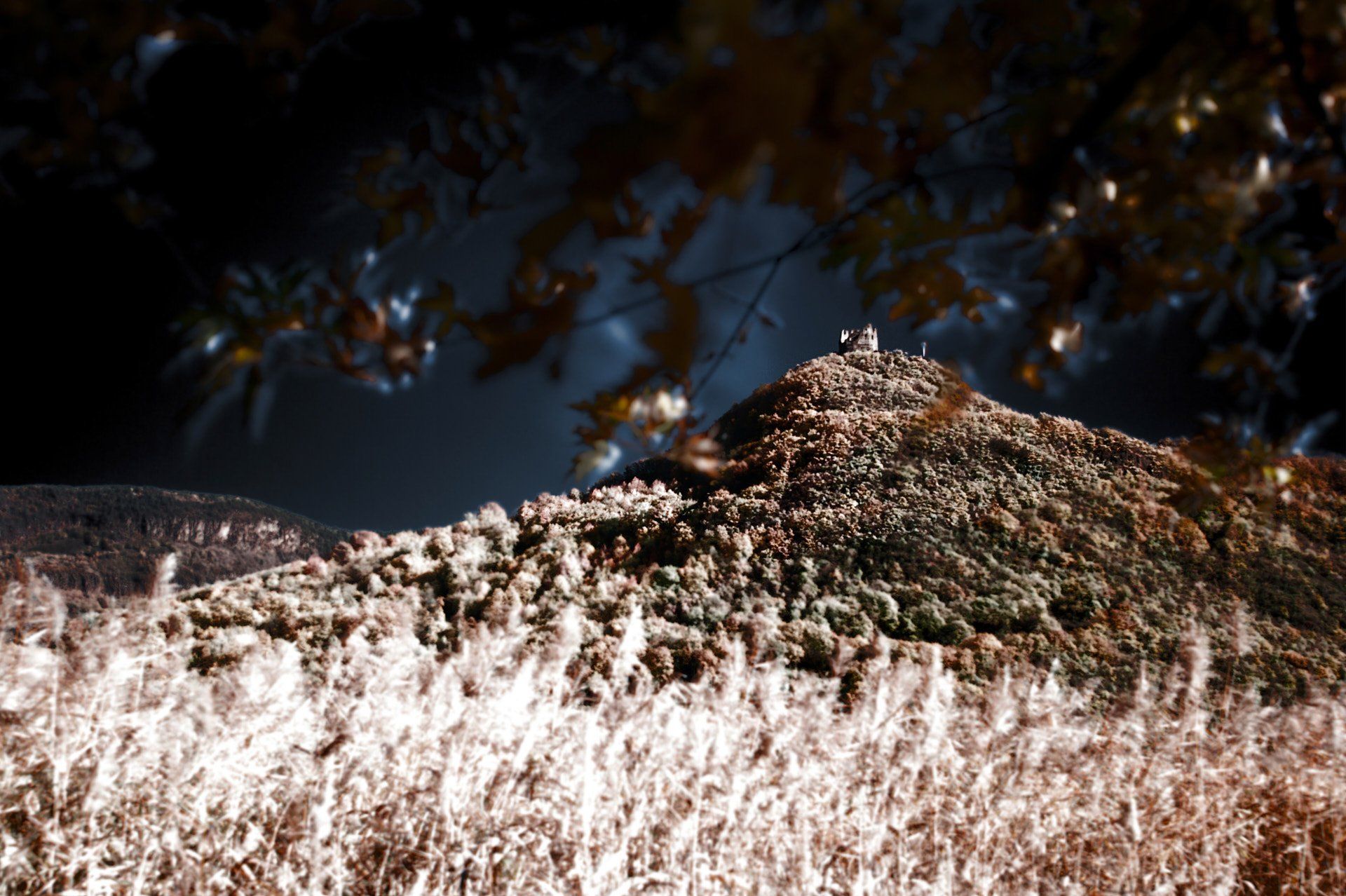 ruine_leuchtenburg ruine_leuchtenburg