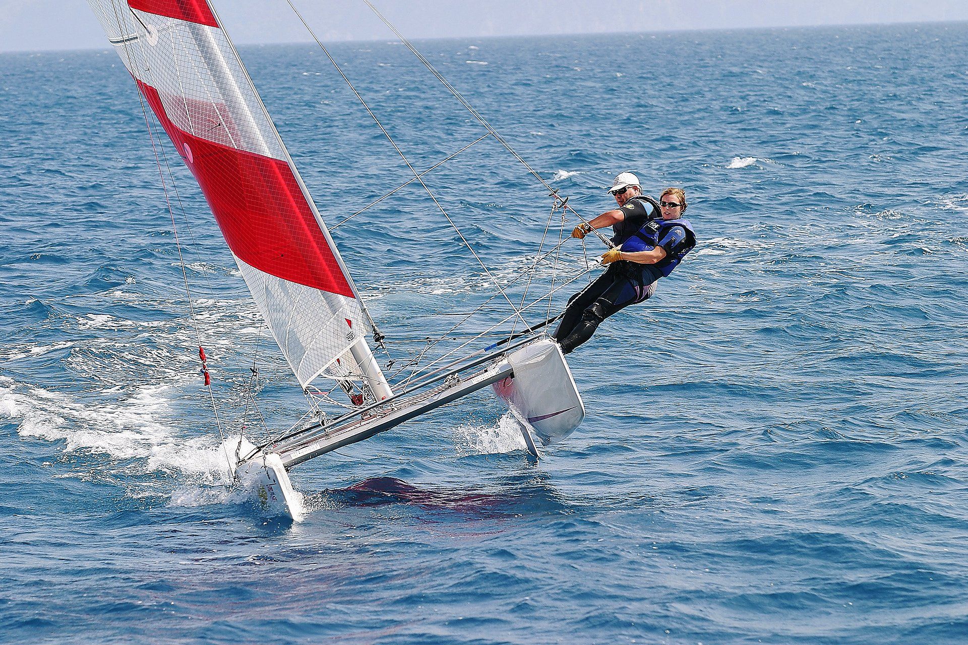 topcat robert doppelbauer topcat