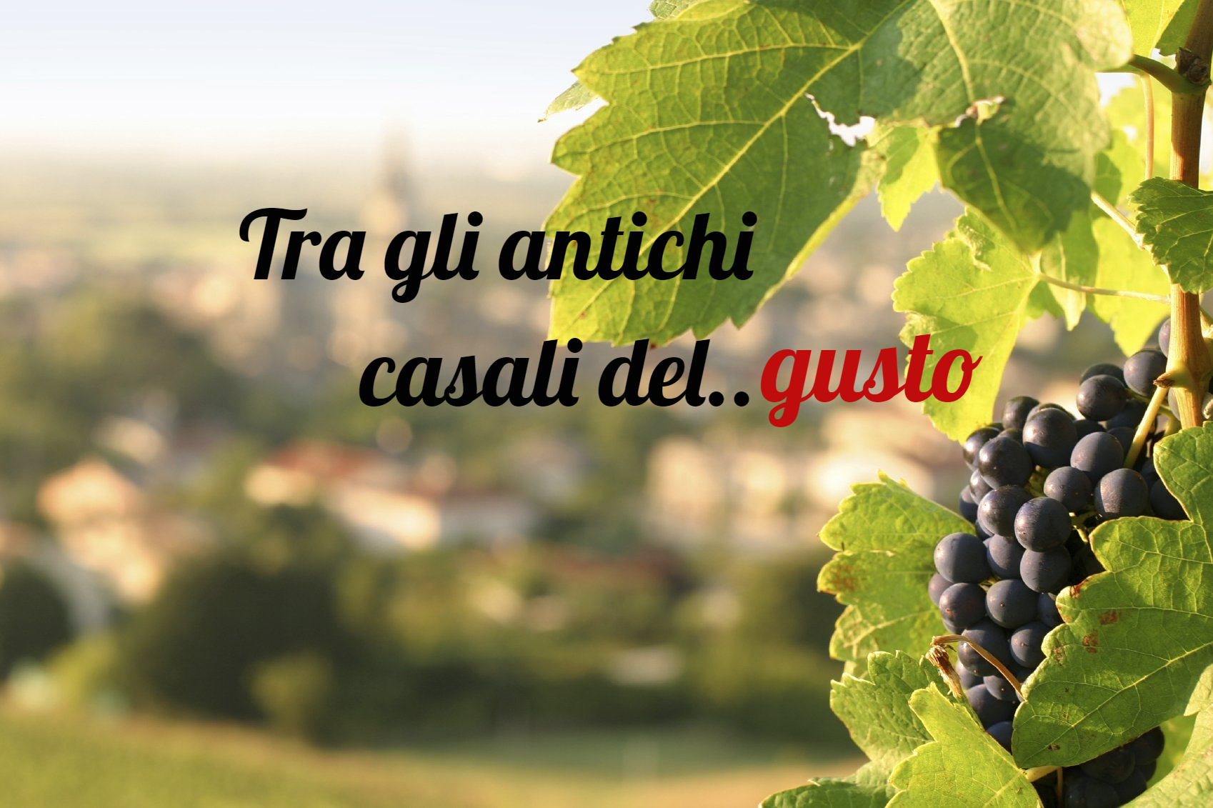 Torce, lucciole e Luma Piena