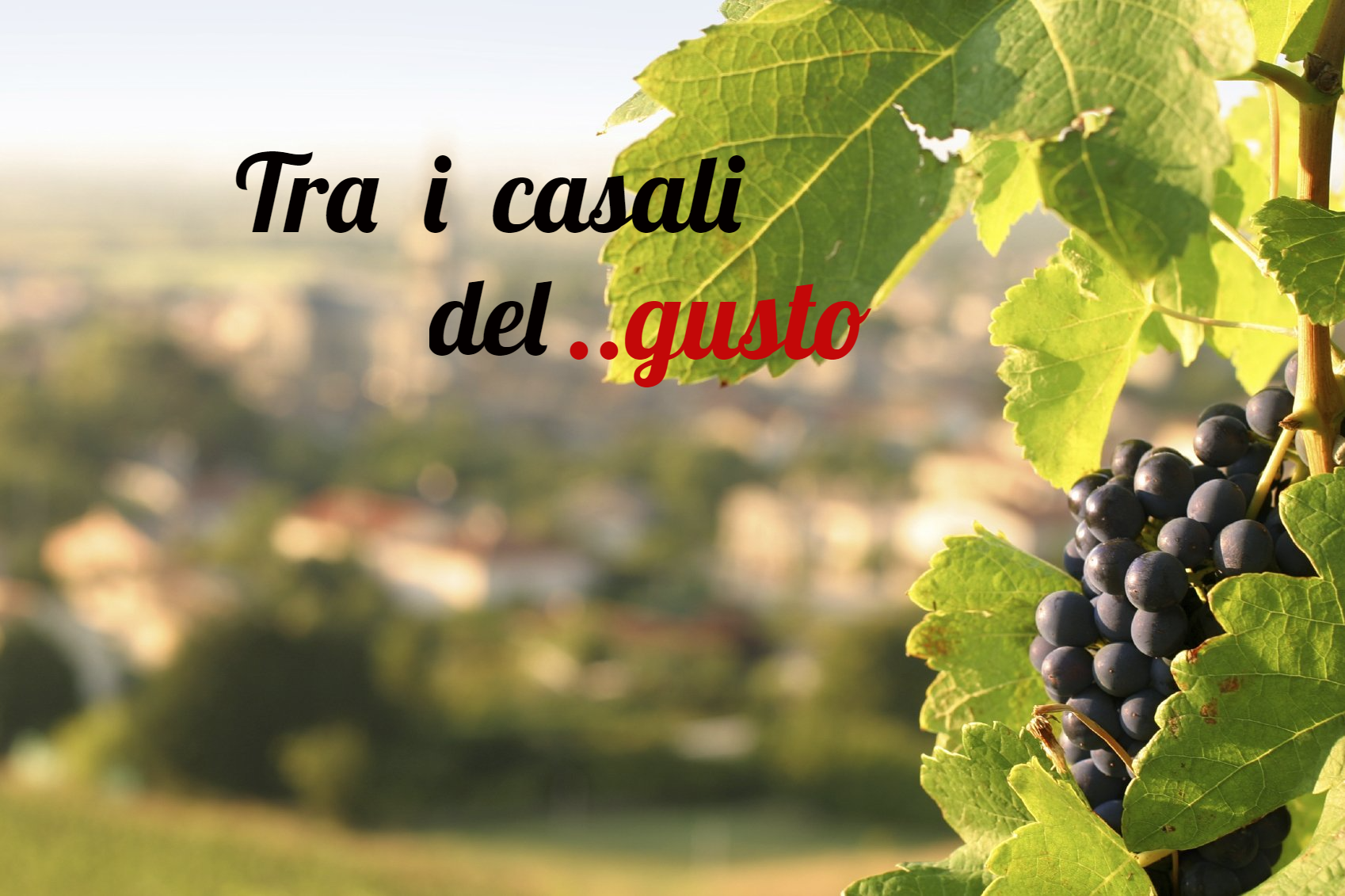 Torce, lucciole e Luma Piena